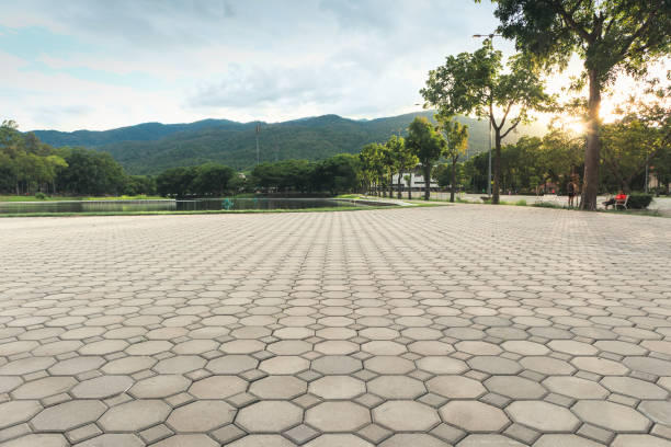 Best Residential Paver Driveway  in Hancock, MD